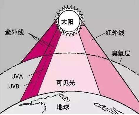 定型机,涂层机,地毯机,地毯背胶机,静电植绒机