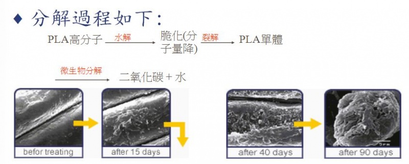 定型机,涂层机,地毯机,地毯背胶机,静电植绒机