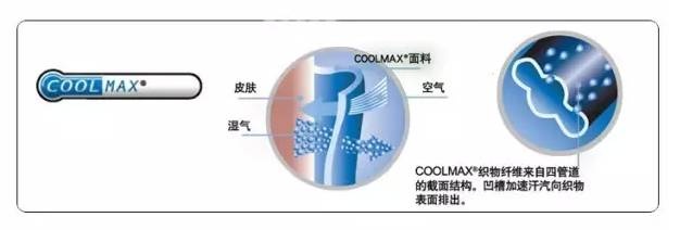 定型机,涂层机,地毯机,地毯背胶机,静电植绒机