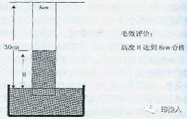 定型机,涂层机,地毯机,地毯背胶机,静电植绒机