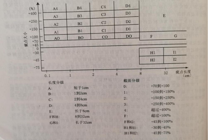 定型机,涂层机,地毯机,地毯背胶机,静电植绒机